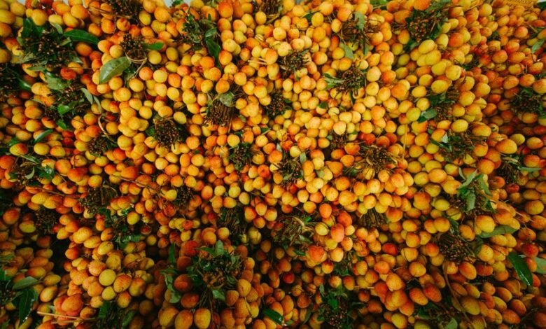 enterprise market exposure summary