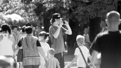 market performance overview report