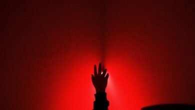 operational metrics and statistics