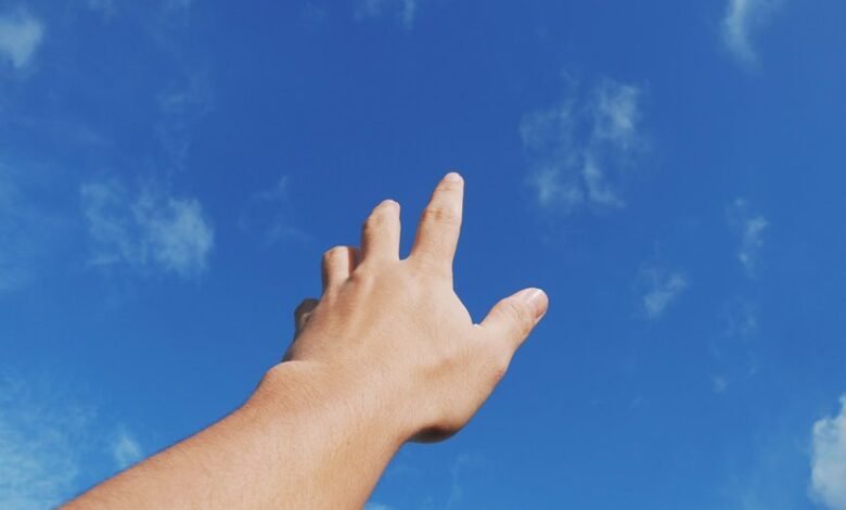 organic reach search strategy