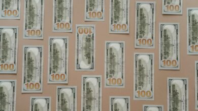 revenue stability through paid conversions